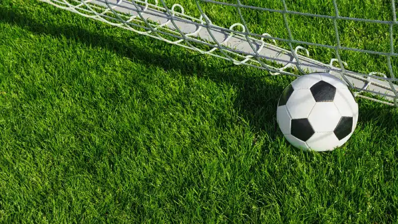 Liverpool and Portugal star Diogo Jota dies aged 28 in tragic car crash