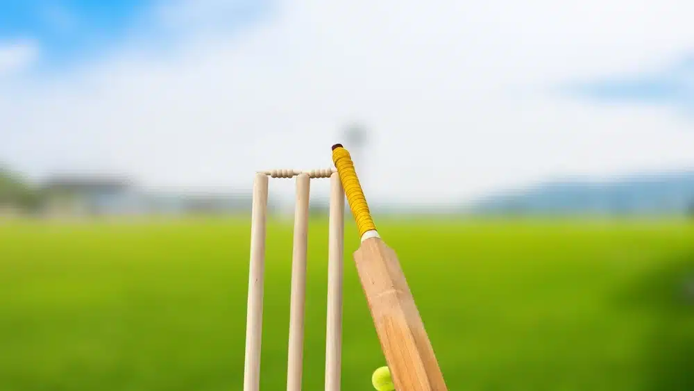 England thrash South Africa by 342 runs in ODI