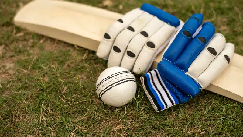 South African cricketer Tony de Zorzi is ruled out due to injury